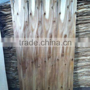 Core Veneer Acacia or Eucalyptus, 1.5-1.7mm Thickness Vietnamese Product for Making Plywood or Other Using