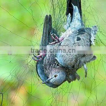 HDPE plastic bird nets for agricultural or fruit trees with uv bird netting