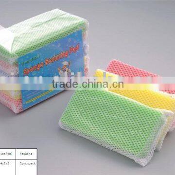 Sponge scourer with net