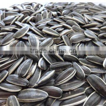 Hulled Sunflower Seeds 5009 With Good Quality photo-4
