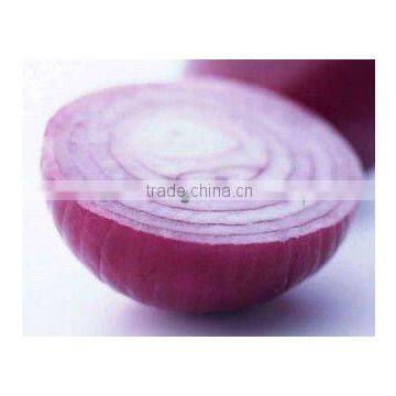 Small Red Onion