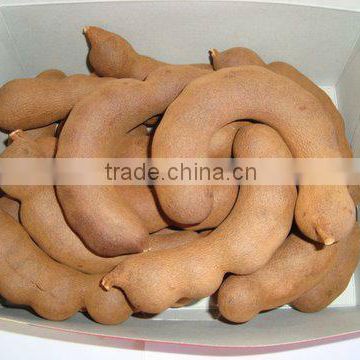 Sweet tamarind Grade A