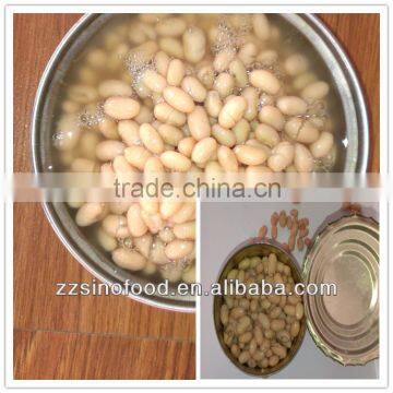 400g White Kidney Beans Canned Food Sale for You