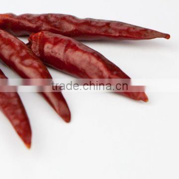 Dried Hot Chilli 2014 Crop