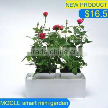 crystal clear flower vase/bud vase