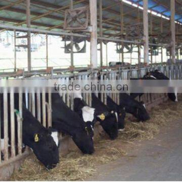 The best Greenhouse/cow shed exhaust fan/ventilation fan in China