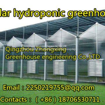 Grass Greenhouse, We Are Professional！ photo-5
