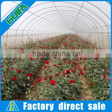 Hot Galvanizing Metal Type and Garden Greenhouses Type garden building garden greenhouse with base