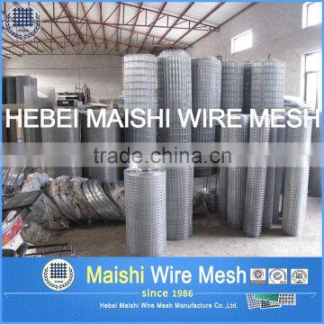 Golden Supplier Welded Wire Mesh photo-3