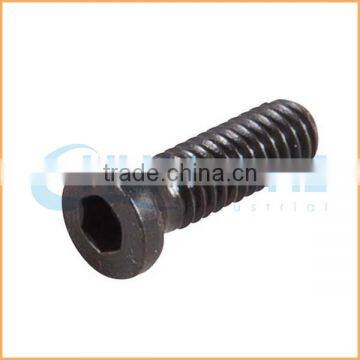 Best Lowerst Factory Price 304 316 Allen Bolt