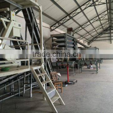 peanut grader processing production line