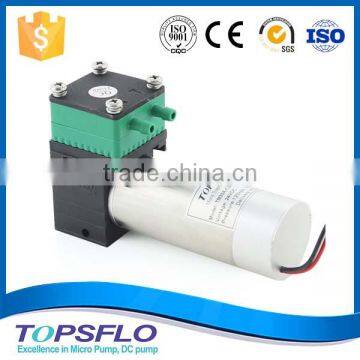 High Performance 6V 12V 24V Diaphragm Mini Air Pump