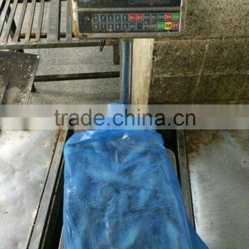 Fresh Frozen Sardine (Sardinella Longiceps) WR for Canning photo-2