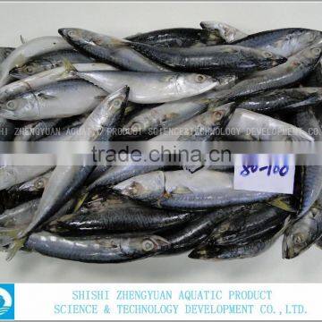 Frozen Fish Can Caning Frozen Mackerel photo-2