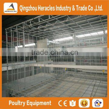 Heracles Factory Price Poultry Farming Equipment H Type Chicken Layer Cage for Sale photo-4