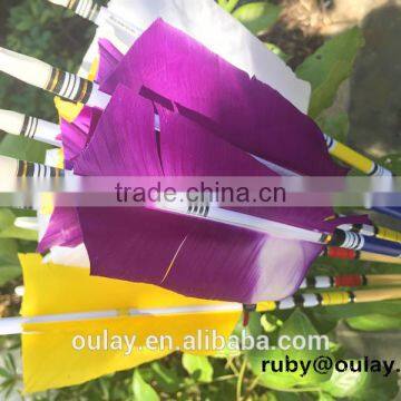 4*14cm Flu Flu Fletching Cresting Wood Arrows