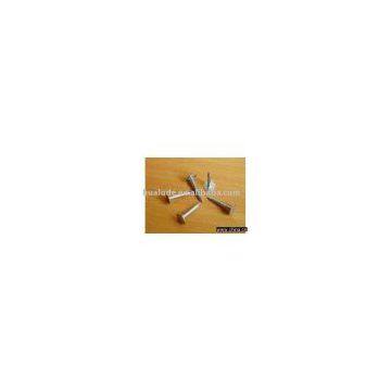 Roofing Nail with Flat Head
