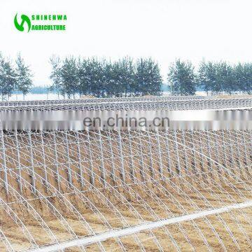 Sunlight Greenhouse Hydroponic Aquaponic Greenhouse Indoor Grow Rooms