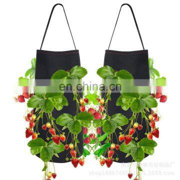 Hanging Green felt plant bag