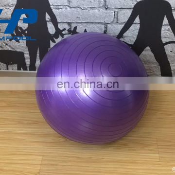 Hampool Weighted Multifunctional Balance Anti Burst Exercise Yoga Ball