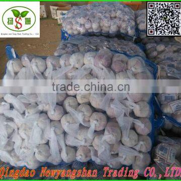 Not the Best;Only Better!Pure White Garlic/white Garlic Exports