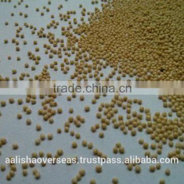 Amaranthus Seeds photo-3