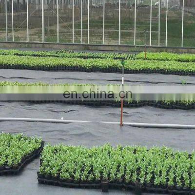 China Factory Manufacture Biodegradable Ground Cover Grass Grow Mat