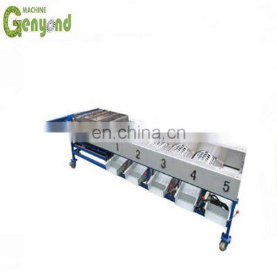 Automatic Sweet Potato Grading Machine