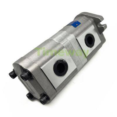 TIMEWAY CBK Series Hydraulic Double Gear Pump P221515DCG High Pressure Gear Oil Pump Customizable photo-5