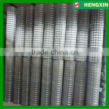 Electro Galvanized welded wire mesh farm Fence