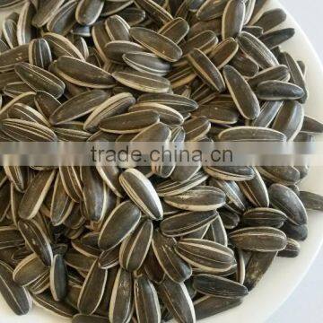 Cheap sunflower seed market price 3939