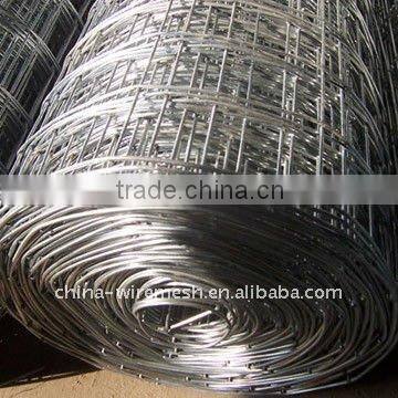 GALVANIZED WELDED WIRE MESH(Anping Factory)