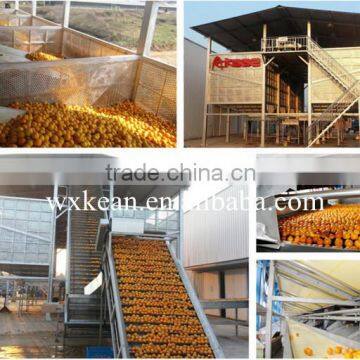 Turnkey project industrial orange juice plant
