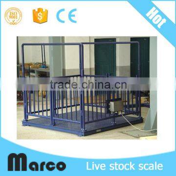 Scale digital used livestock animal electronic scale