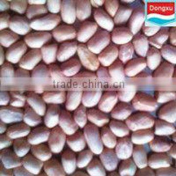 bulk organic peanut kernels 50/60