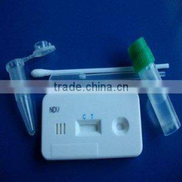 Quicking Newcastle Disease Virus Antigen Rapid Test