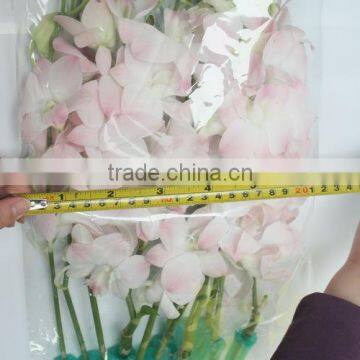 Various Best Selling High Simulation Wholesale Butterfly Orchid photo-5