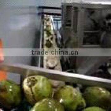 Industrial Young Coconut Grating Machine photo-2