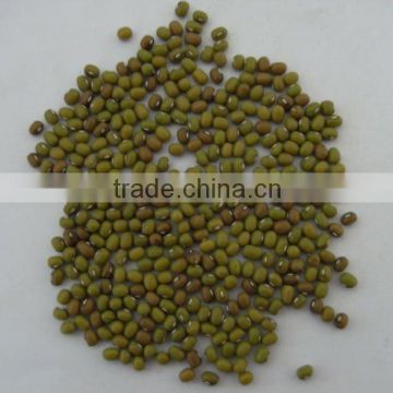 good mung beans