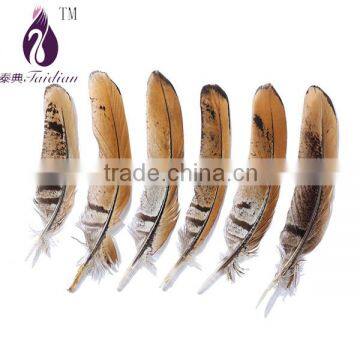 natural color Revees Pheasant chicken feathers