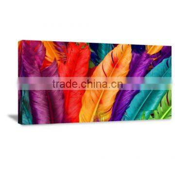 Frame Animal Feather Canvas Printing Art Painting Bedroom decor DWYS25