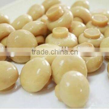 Canned Food Canned Champignon Canned Mushroom/champignon photo-2