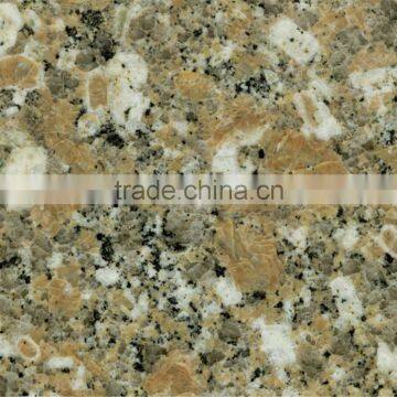 Yellow and White Particle Granite Stone Counter Top