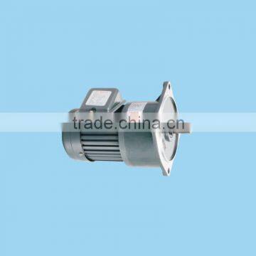 High quality high efficienty single phase small AC Gear motor