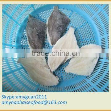 Aquarium Fish For Sale --John Dory fillet