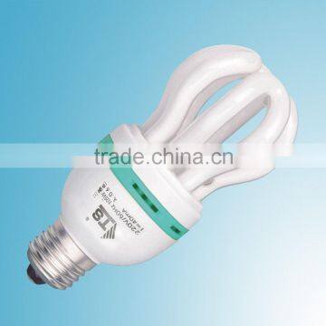 Energy Saving Lamp
