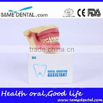 NISSIN Anesthesia Extraction Model School Teaching Demonstration