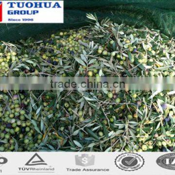 Plastic Olive Harvest Nets for Collection