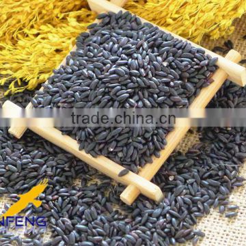 High quality steamed black rice from China