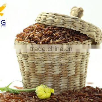 New crop red rice with best quality and best price